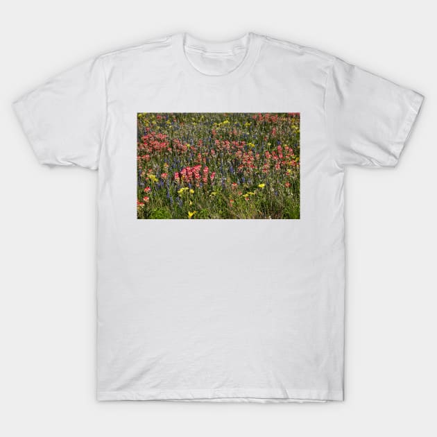 Field of Flowers in China Grove T-Shirt by StonePics